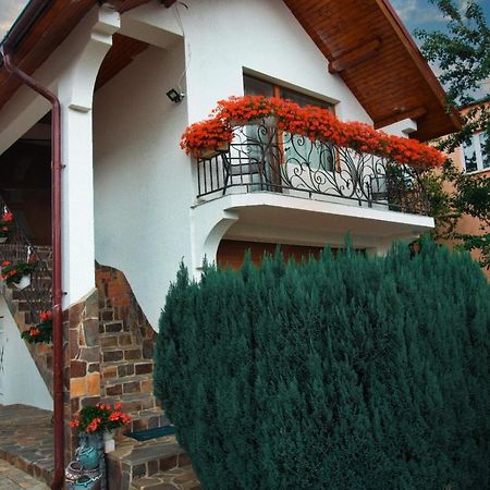 Villa Casa Ade à Ocna Şugatag Extérieur photo