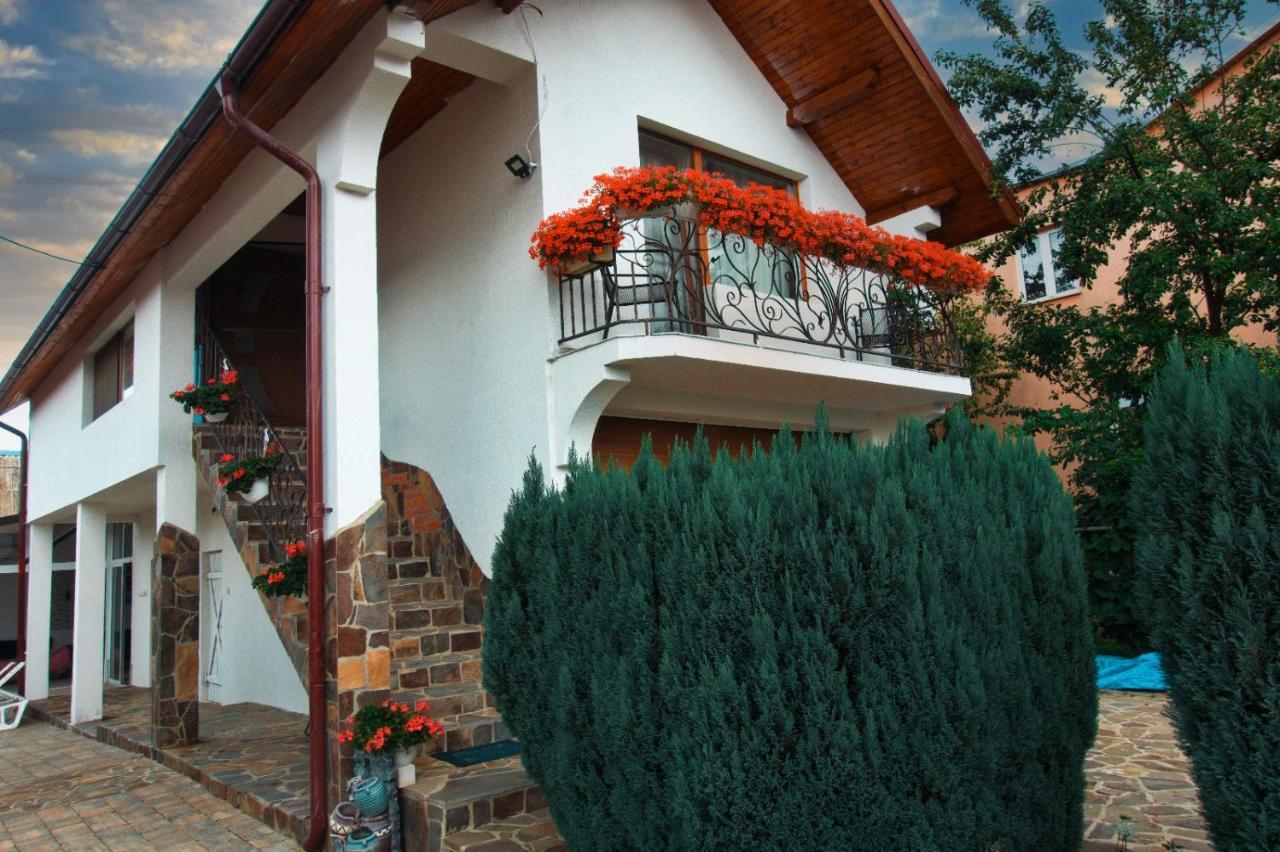Villa Casa Ade à Ocna Şugatag Extérieur photo