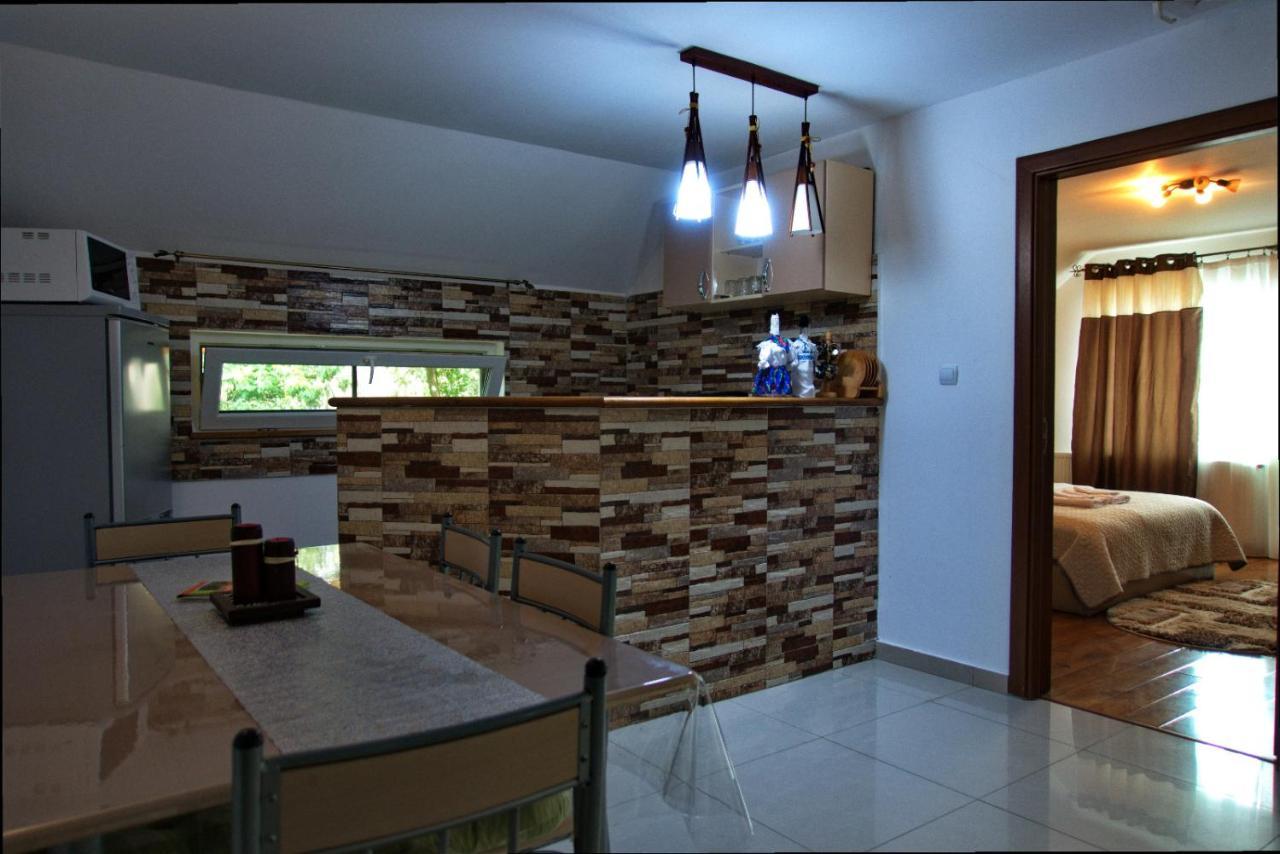 Villa Casa Ade à Ocna Şugatag Extérieur photo