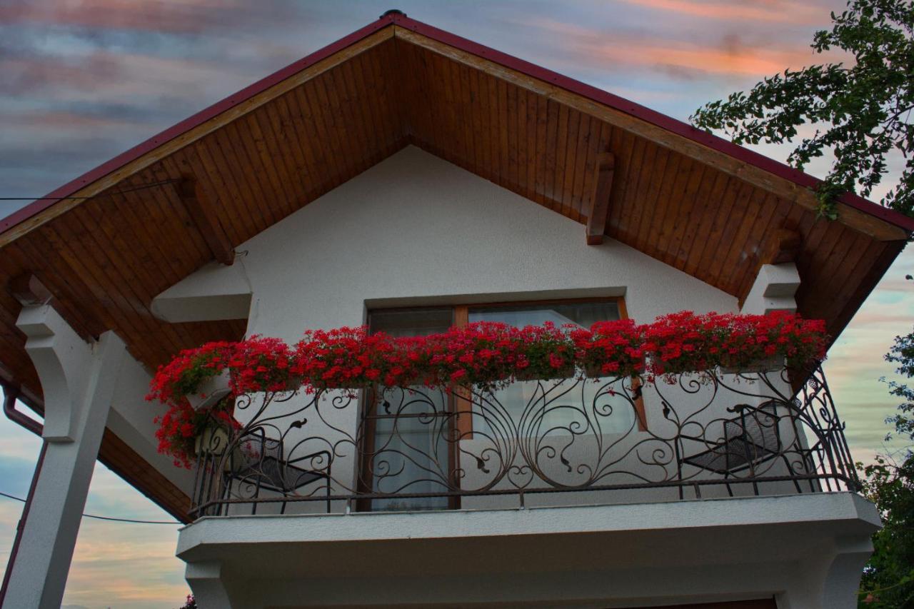 Villa Casa Ade à Ocna Şugatag Extérieur photo