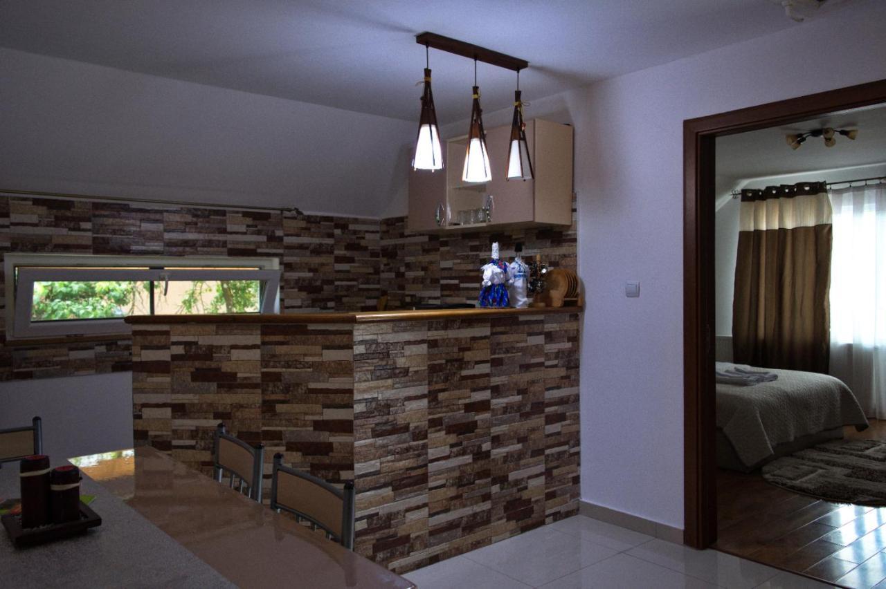 Villa Casa Ade à Ocna Şugatag Extérieur photo